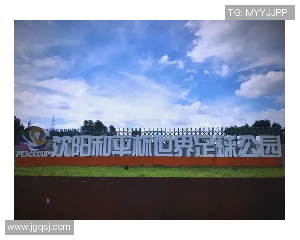 足球的魅力与全球文化交融探析：从竞技到娱乐的多元发展与影响